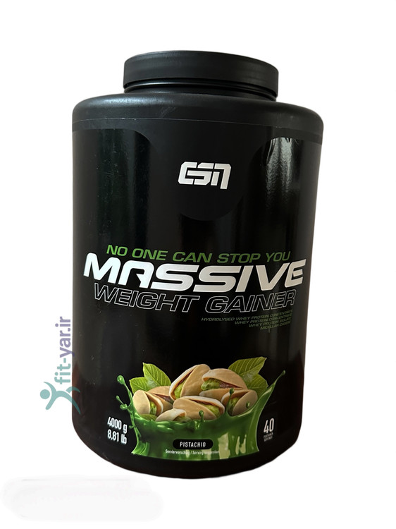 مسیو گینر۴KG ای اس انESN