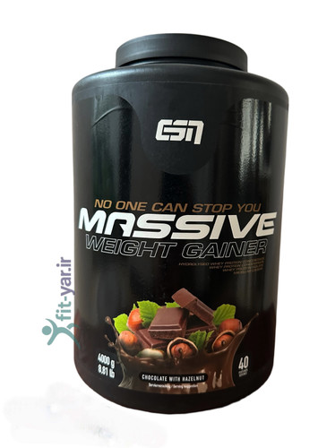 مسیو گینر۴KG ای اس انESN